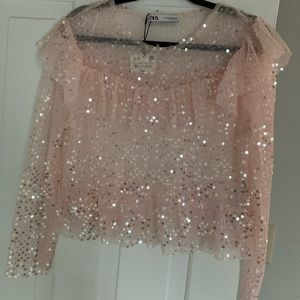 Pink Zara Sequin top